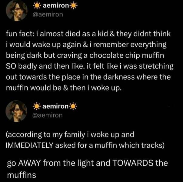 funny memes fun fact: i almost died as a kid & they didnt think i would wake up again & i remember everything being dark but craving a chocolate chip muffin SO badly and then like. it felt like i was stretching out towards the place in the darkness where the muffin would be & then i woke up.
