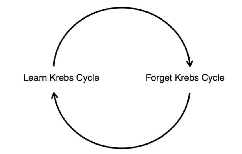 funny memes Learn Krebs Cycle Forget Krebs Cycle