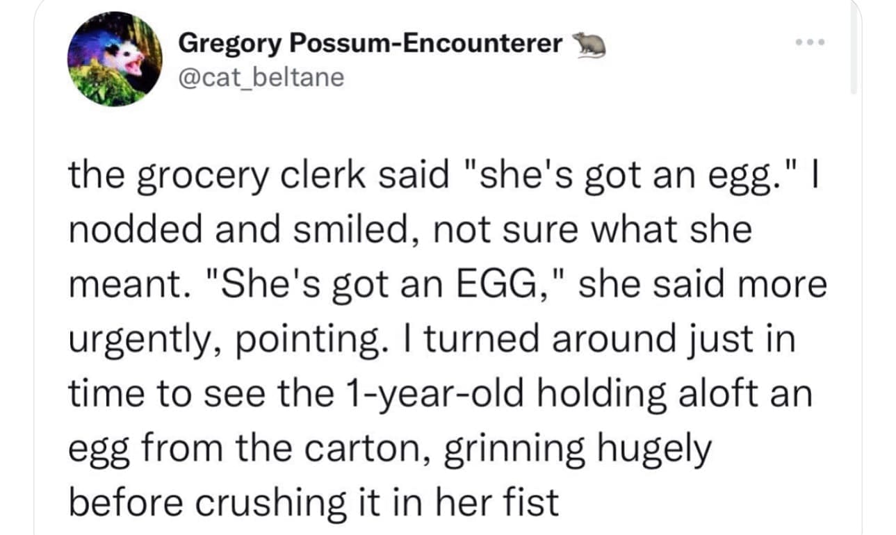 funny memes the grocery clerk said "she's got an egg." I nodded and smiled, not sure what she meant. "She's got an EGG," she said more urgently, pointing. I turned around just in time to see the 1-year-old holding aloft an egg from the carton, grinning hugely before crushing it in her fist