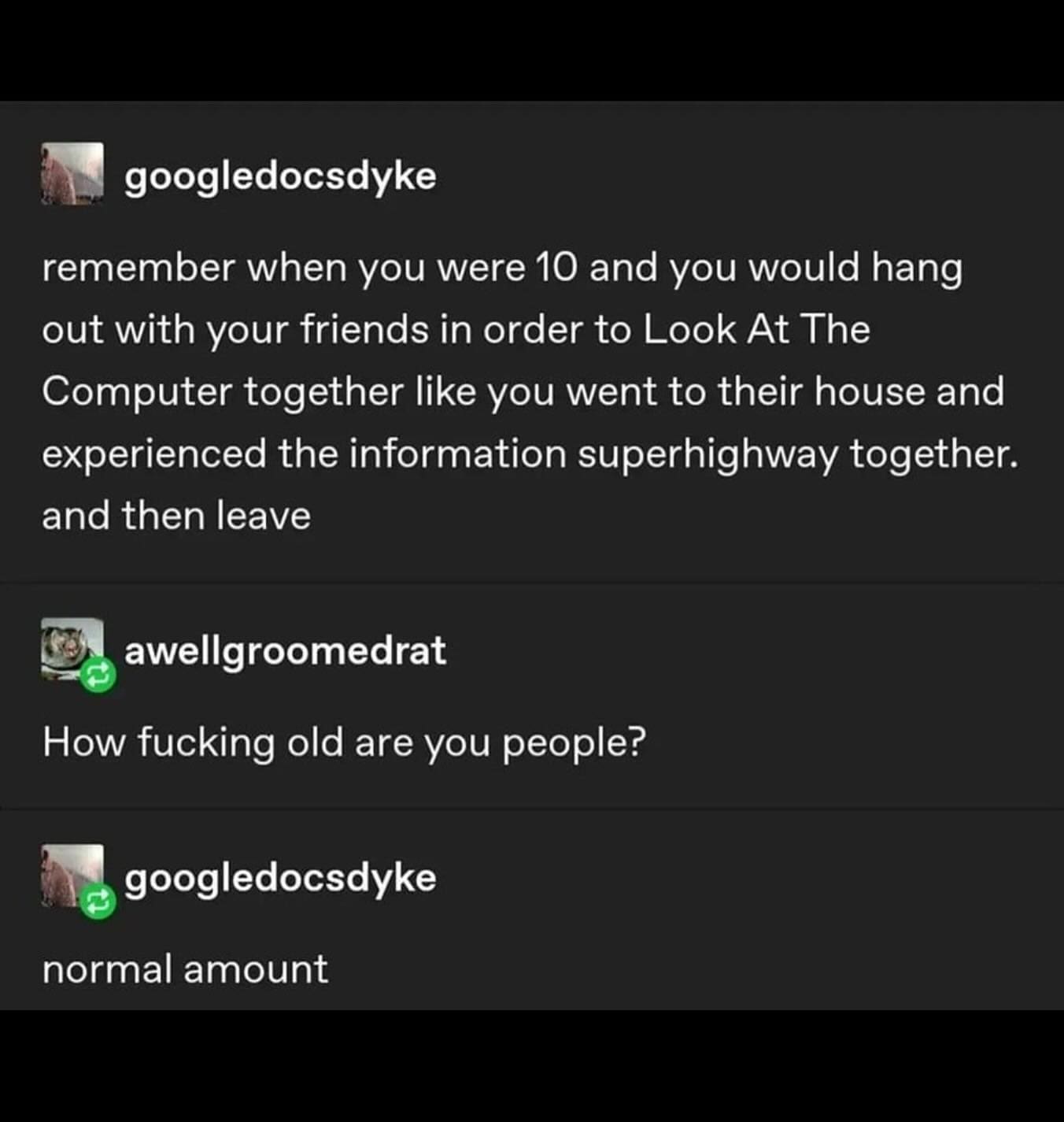 funny memes remember when you were 10 and you would hang out with your friends in order to Look At The Computer together like you went to their house and experienced the information superhighway together. and then leave