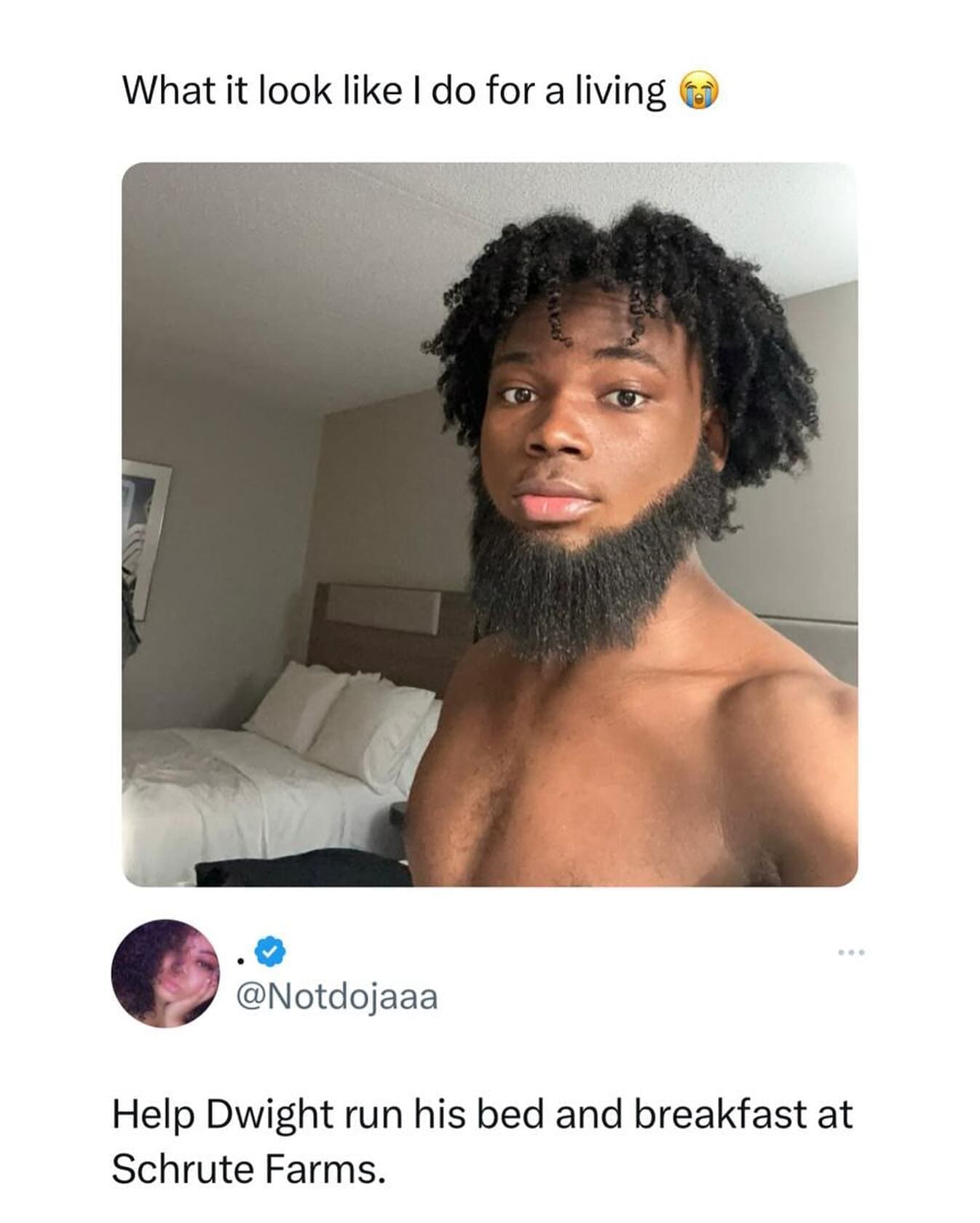 funny pics Help Dwight run his bed and breakfast at Schrute Farms.