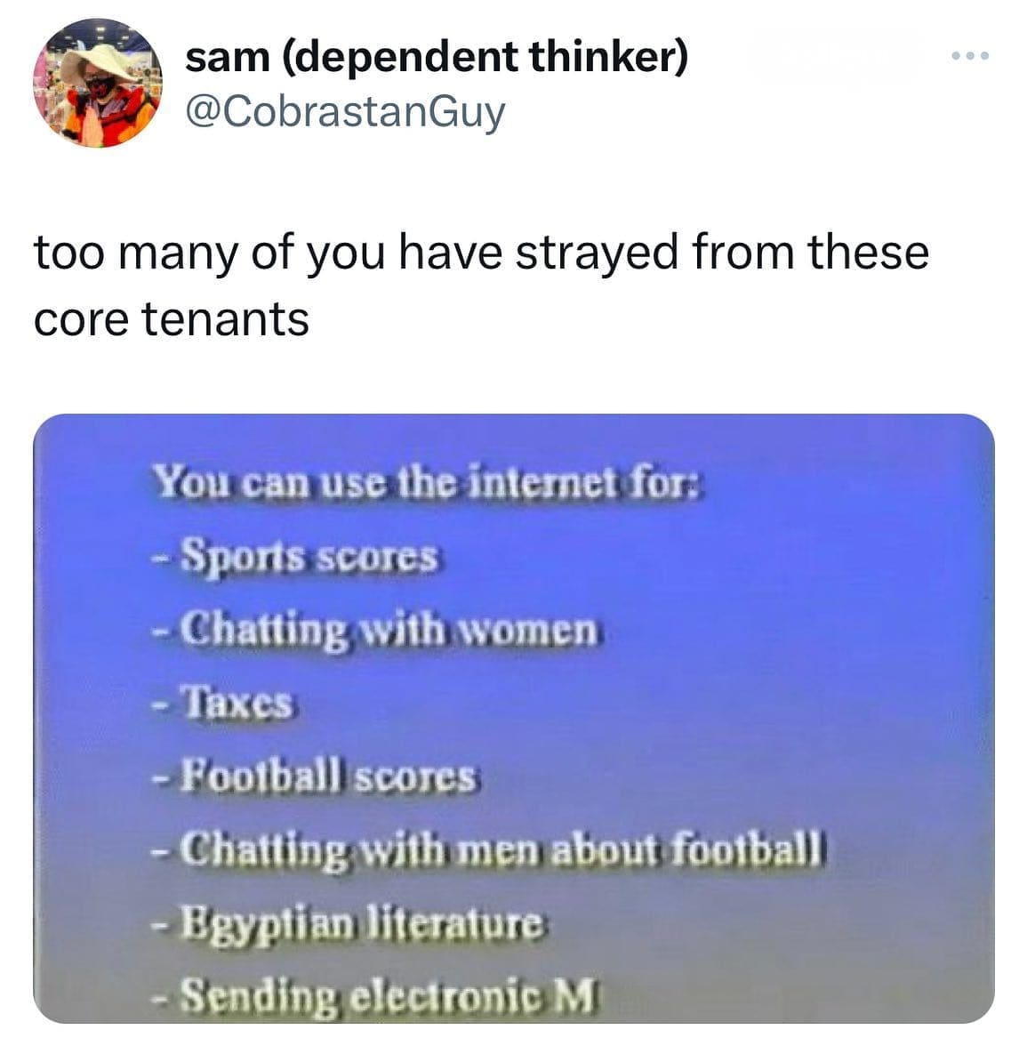 funny pics too many of you have strayed from these core tenants You can use the internet for: - Sports scores - Chatting with women - Taxes - Football scores - Chatting with men about football - Egyptian literature - Sending electronic