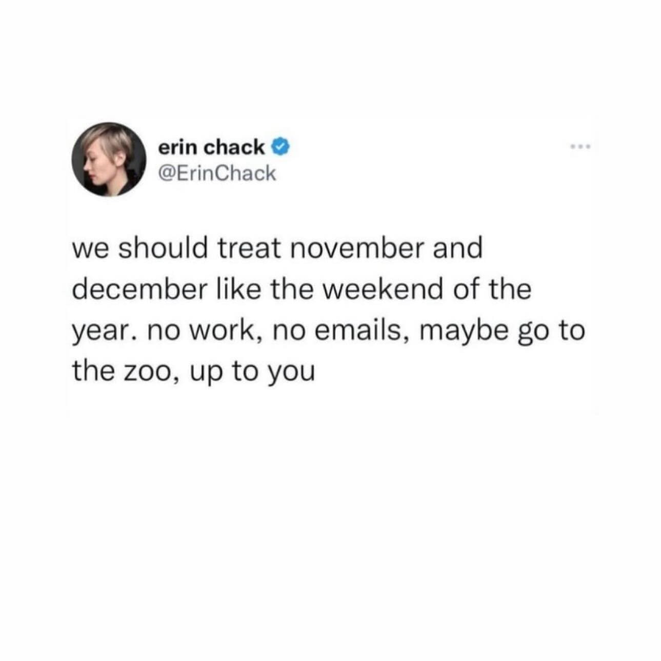 funny pictures we should treat november and december like the weekend of the year. no work, no emails, maybe go to the zoo, up to you