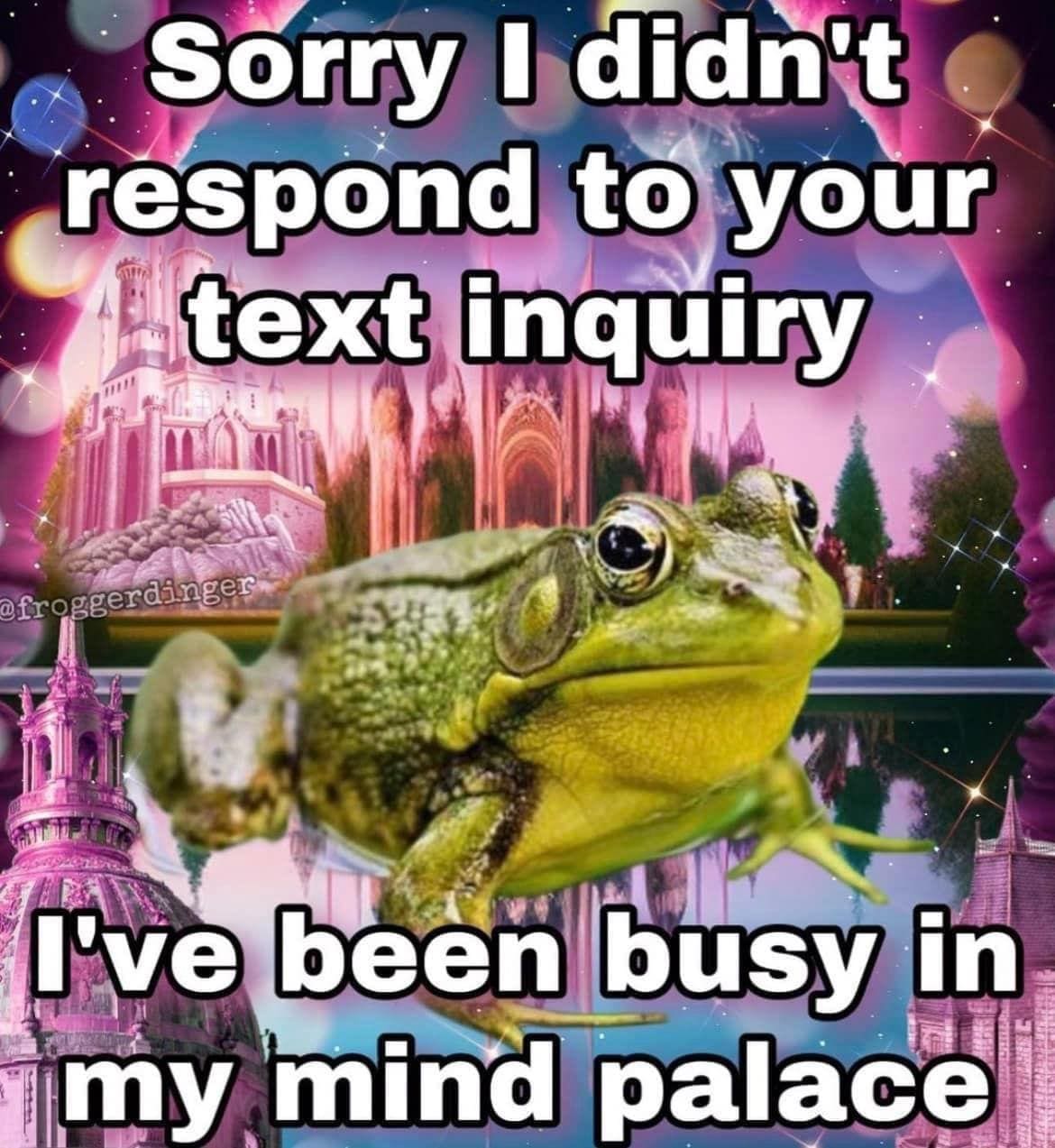 funny pics Sorry I didn't respond to your text inquiry froggerdinger I've been busy in my mind palace