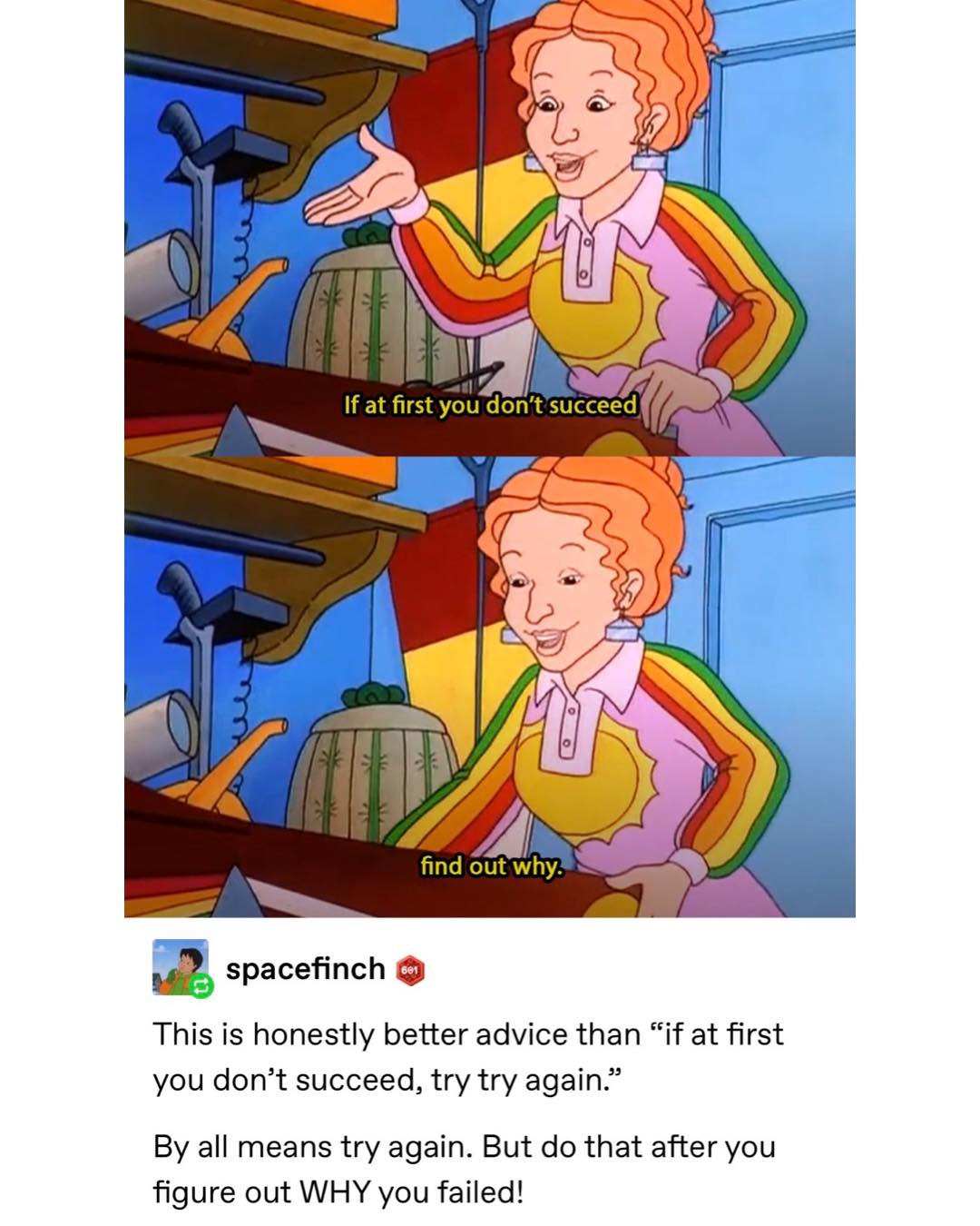 funny Tumblr posts If at first you don't succeed find out why. spacefinch This is honestly better advice than "if at first you don't succeed, try try again." By all means try again. But do that after you figure out WHY you failed!
