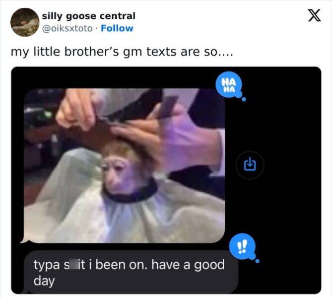 Gen Z Texting my little brother's gm texts are so.... HA 山 !! typa s it i been on. have a good day
