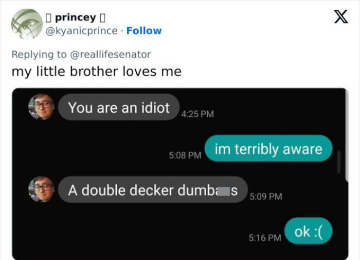 Gen Z Texting my little brother loves me You are an idiot 4:25 PM 5:08 PM A double decker dumbas