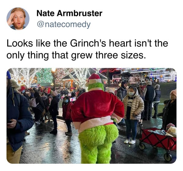 40 Grinch Memes Because We Are All Closer to the Grinch Than Santa