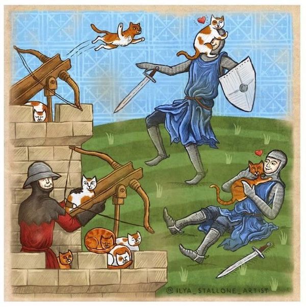 28 Medieval Memes That Joust Your Funny Bone