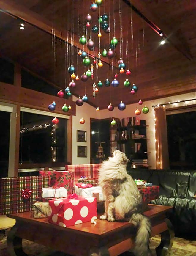 pet proof christmas tree