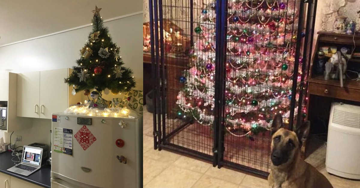 pet proof christmas tree