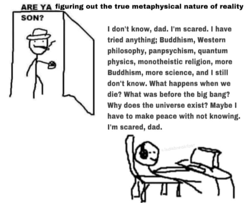 Philosophy memes ARE YA figuring out the true metaphysical nature of reality SON? I don't know, dad. I'm scared. I have tried anything; Buddhism, Western philosophy, panpsychism, quantum physics, monotheistic religion, more Buddhism, more science, and I still don't know. What happens when we die? What was before the big bang? Why does the universe exist? Maybe I have to make peace with not knowing. I'm scared, dad.