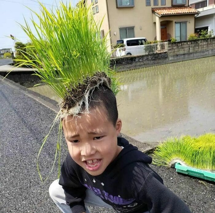 Weird Hats grass on head