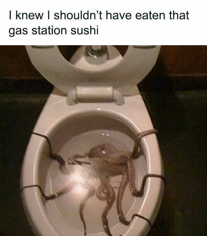 Weirdest Toilets don't eat gas station sushi squid toilet