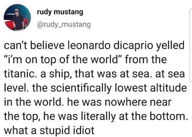 Technically correct memes can't believe leonardo dicaprio yelled "i'm on top of the world" from the titanic. a ship, that was at sea. at sea level. the scientifically lowest altitude in the world. he was nowhere near the top, he was literally at the bottom. what a stupid idiot