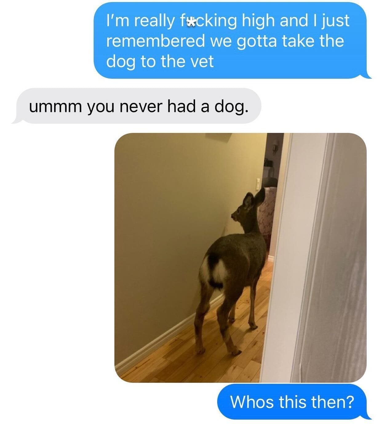 funny pics I'm really facking high and I just remembered we gotta take the dog to the vet ummm you never had a dog.