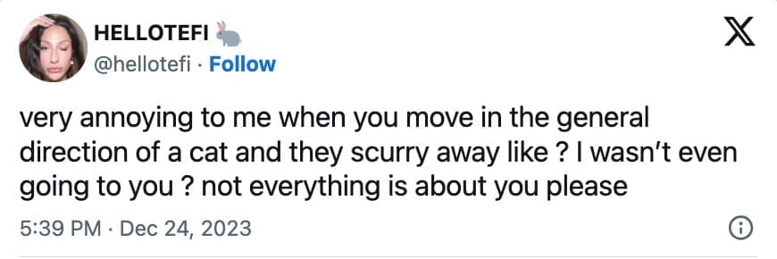 animal memes, wildlife humor