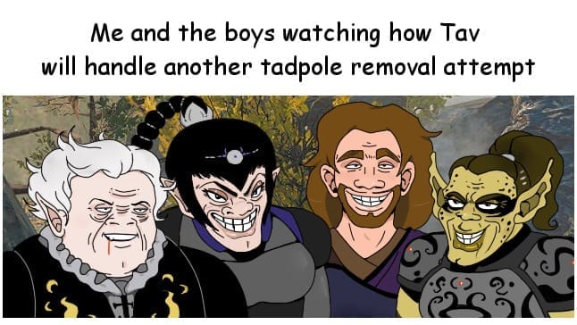 baldurs gate memes, sword coast