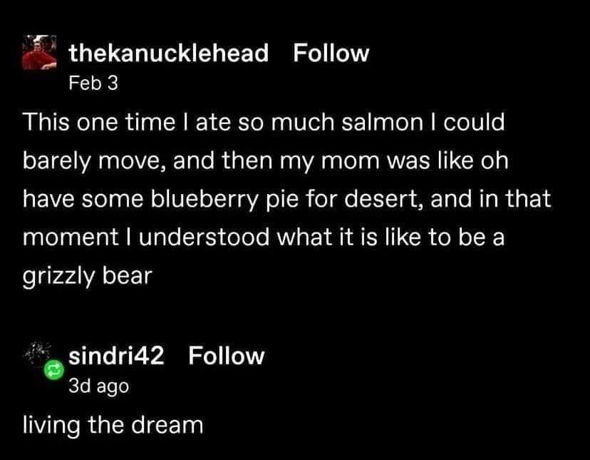 Bear memes This one time late so much salmon I could barely move, and then my mom was like oh have some blueberry pie for desert, and in that moment I understood what it is like to be a grizzly bear