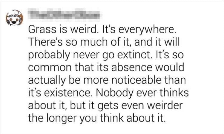 Best Shower Thoughts Grass is weird. It's everywhere. There's so much of it, and it will probably never go extinct. It's so common that its absence would actually be more noticeable than it's existence. Nobody ever thinks about it, but it gets even weirder the longer you think about it.