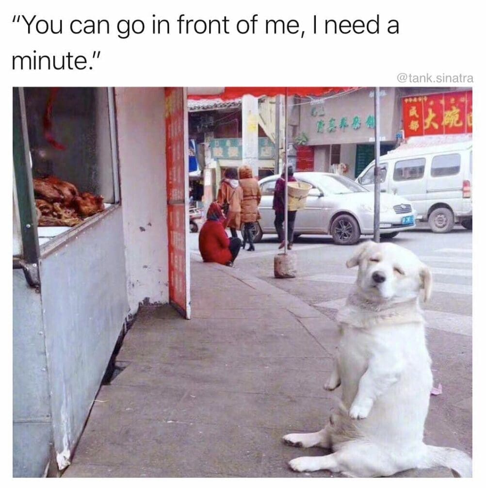 classic memes, vintage memes