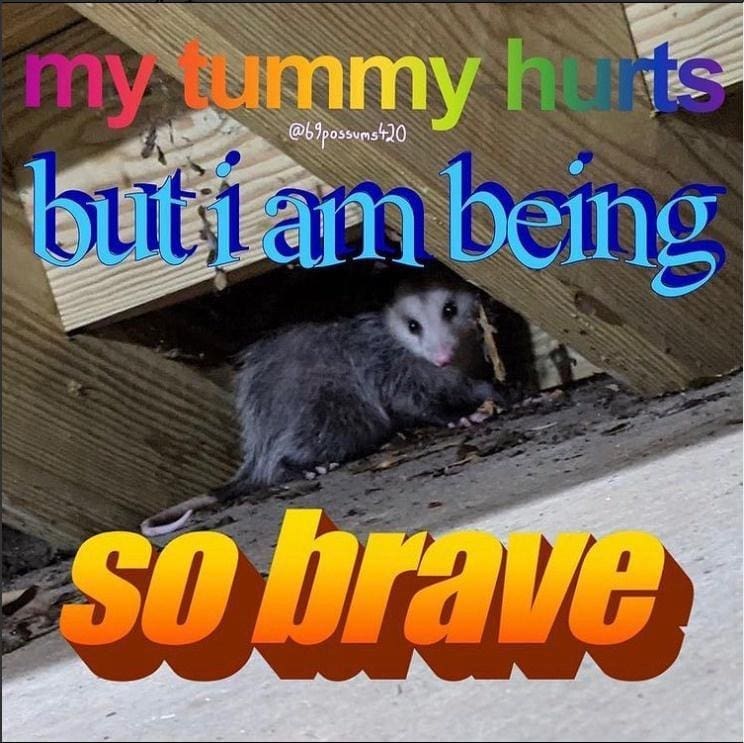 classic memes, vintage memes