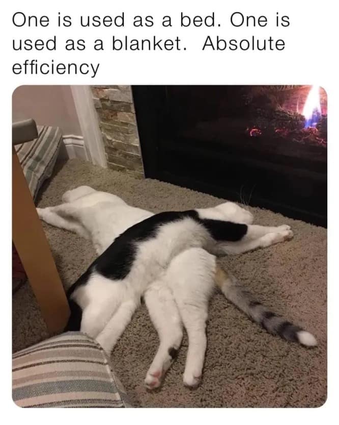 classic memes, nostalgic meme collection