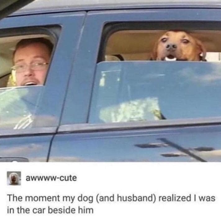 classic memes, vintage memes