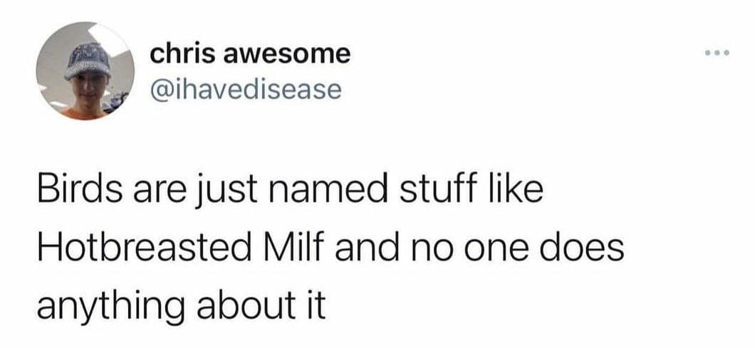 classic memes, vintage memes