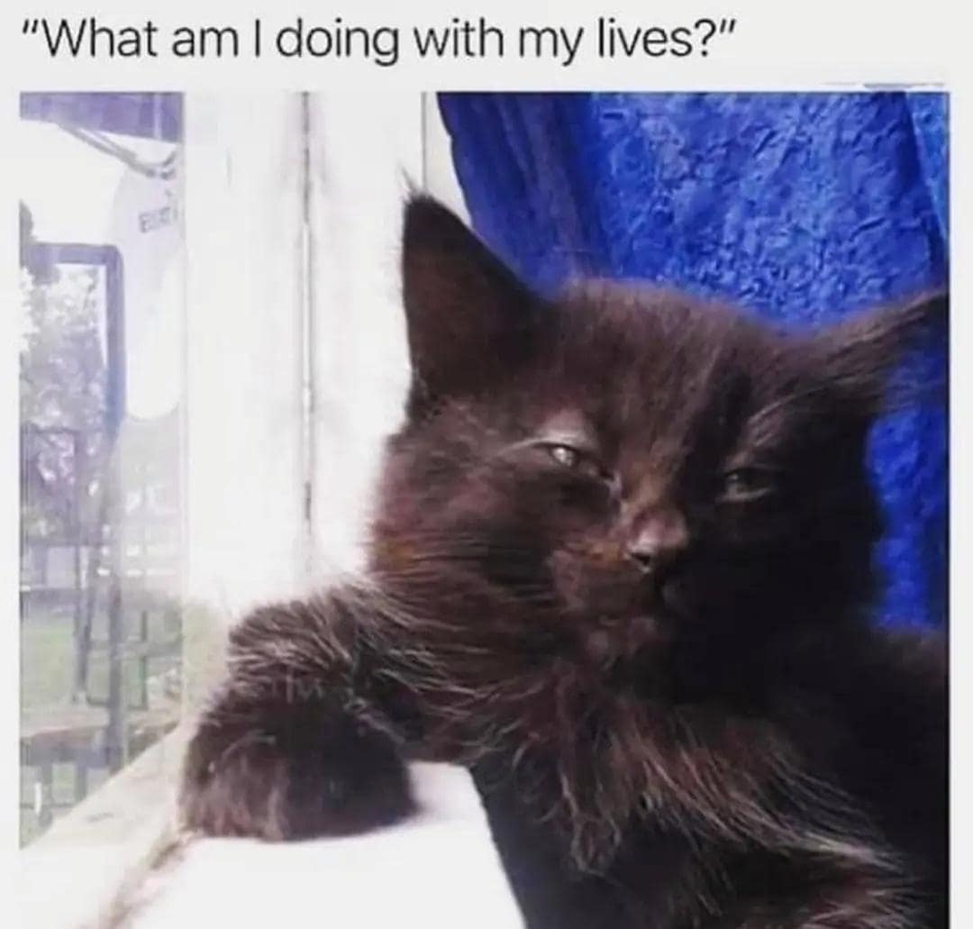 classic memes, vintage memes