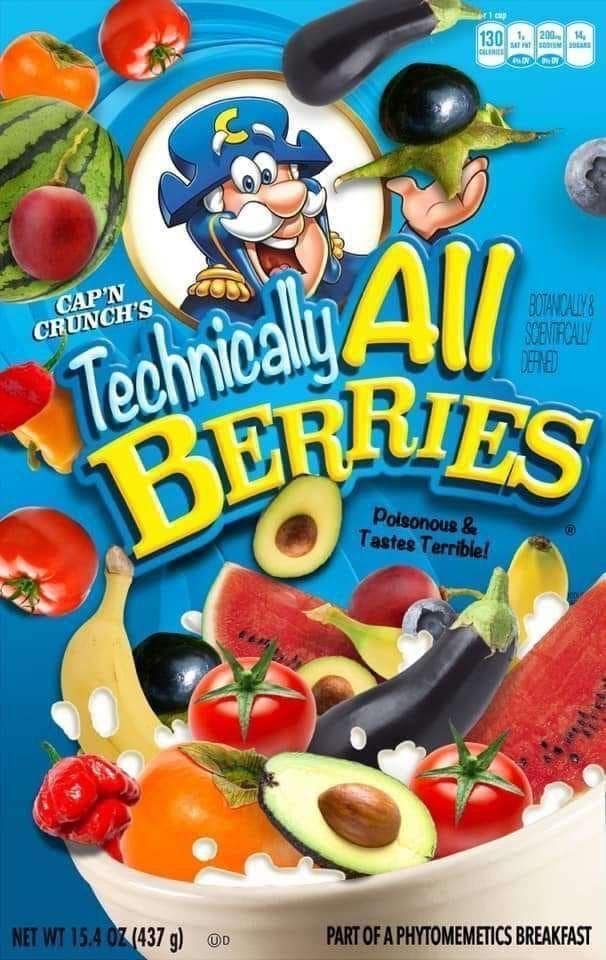 classic memes, internet humor