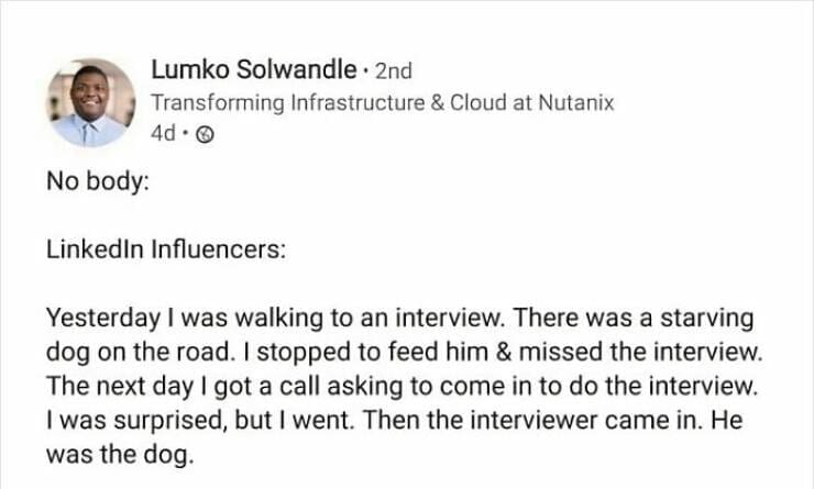 Consulting memes No body: Linkedin Influencers: Yesterday I was walking to an interview. There was a starving dog on the road. I stopped to feed him & missed the interview. The next day I got a call asking to come in to do the interview. I was surprised, but I went. Then the interviewer came in. He was the dog.