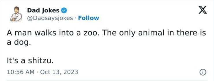 Corny Dad Jokes A man walks into a zoo. The only animal in there is a dog. It's a shitzu.