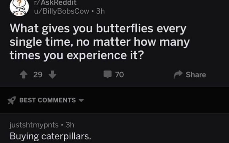 funny ask reddit threads What gives you butterflies every single time, no matter how many times you experience it? Buying caterpillars.