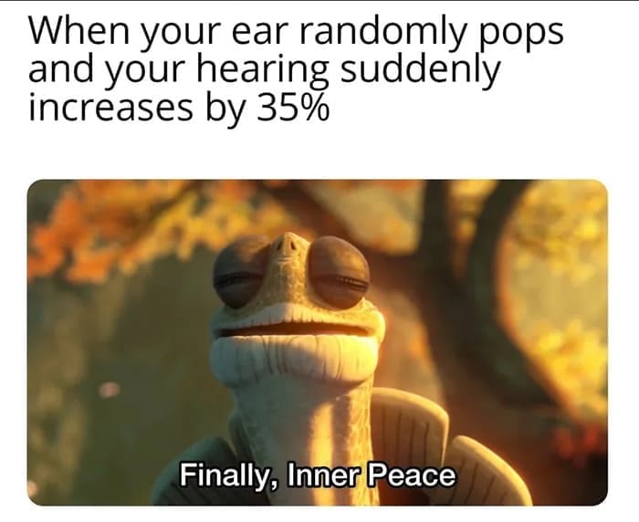 funny pics When your ear randomly pops and your hearing suddenly increases by 35% Finally, Inner Peace
