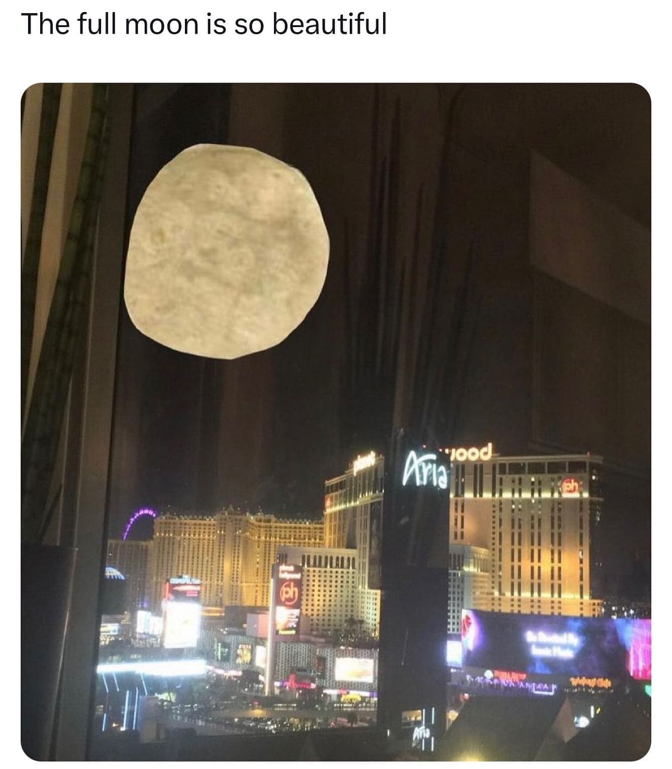 funny memes The full moon is so beautiful tortilla