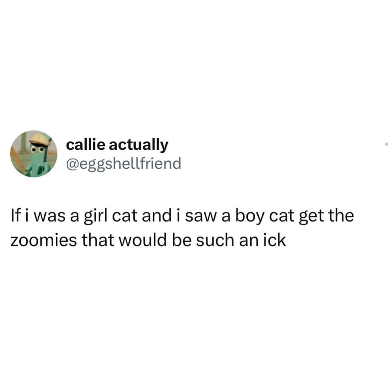 funny memes If i was a girl cat and i saw a boy cat get the zoomies that would be such an ick