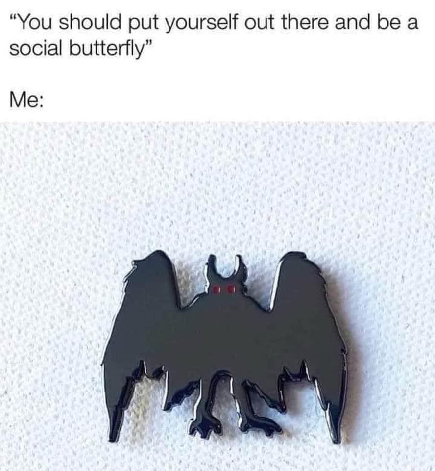 funny memes "You should put yourself out there and be a social butterfly" Me: