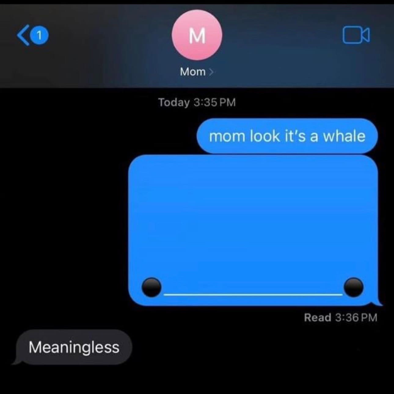 funny memes mom look it's a whale Read 3:36 PM Meaningless