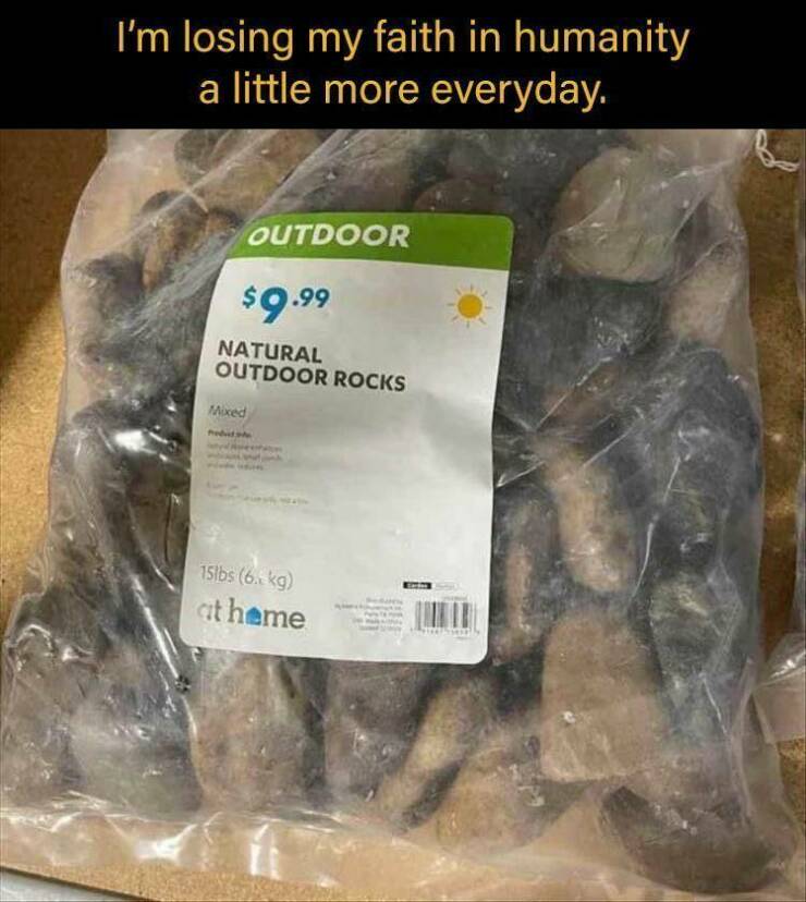 funny memes I'm losing my faith in humanity a little more everyday. OUTDOOR $9.99 NATURAL OUTDOOR ROCKS