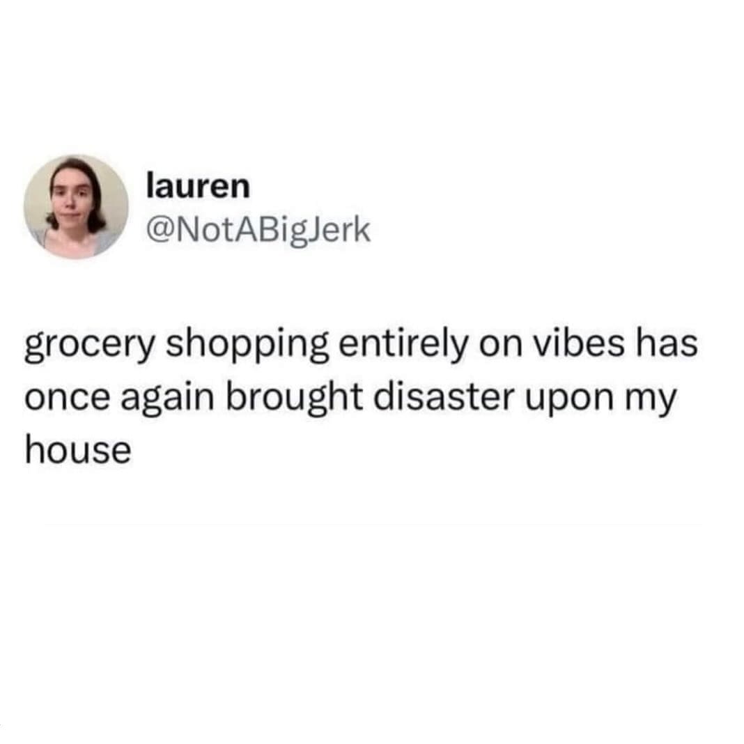 funny memes grocery shopping entirely on vibes has once again brought disaster upon my house