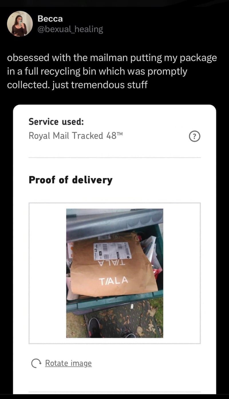 funny memes obsessed with the mailman putting my package in a full recycling bin which was promptly collected. just tremendous stuff