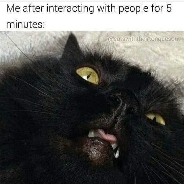 funny memes Me after interacting with people for 5 minutes: