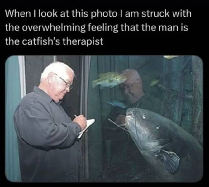 funny memes When I look at this photo I am struck with the overwhelming feeling that the man is the catfish's therapist
