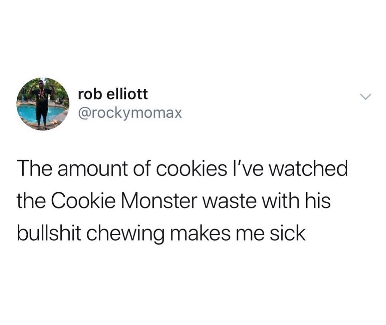 funny memes The amount of cookies I've watched the Cookie Monster waste with his bullshit chewing makes me sick