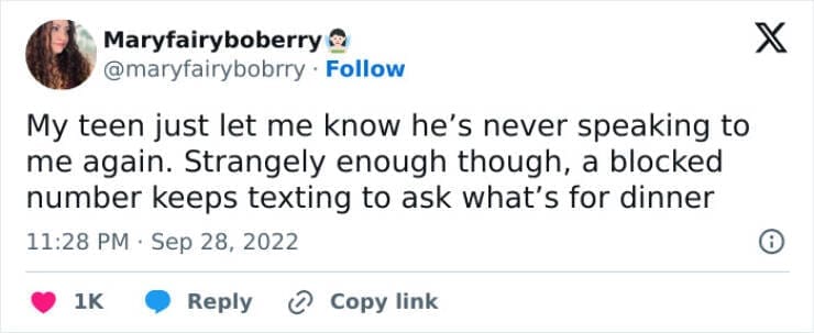 Funny parenting teen tweets My teen just let me know he's never speaking to me again. Strangely enough though, a blocked number keeps texting to ask what's for dinner