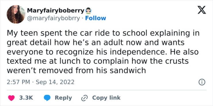 Funny parenting teen tweets My teen spent the car ride to school explaining in great detail how he's an adult now and wants everyone to recognize his independence. He also texted me at lunch to complain how the crusts weren't removed from his sandwich