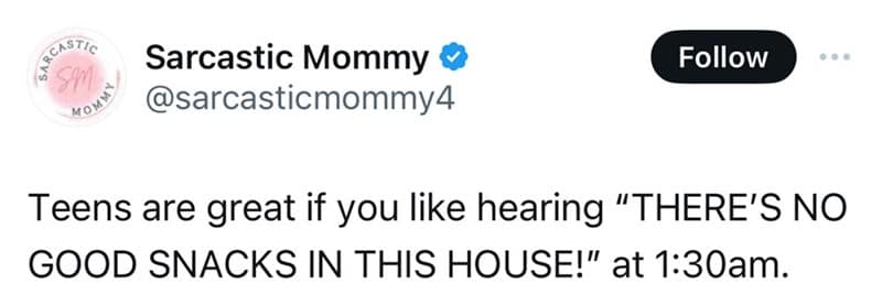 funny parenting tweets, parenting memes