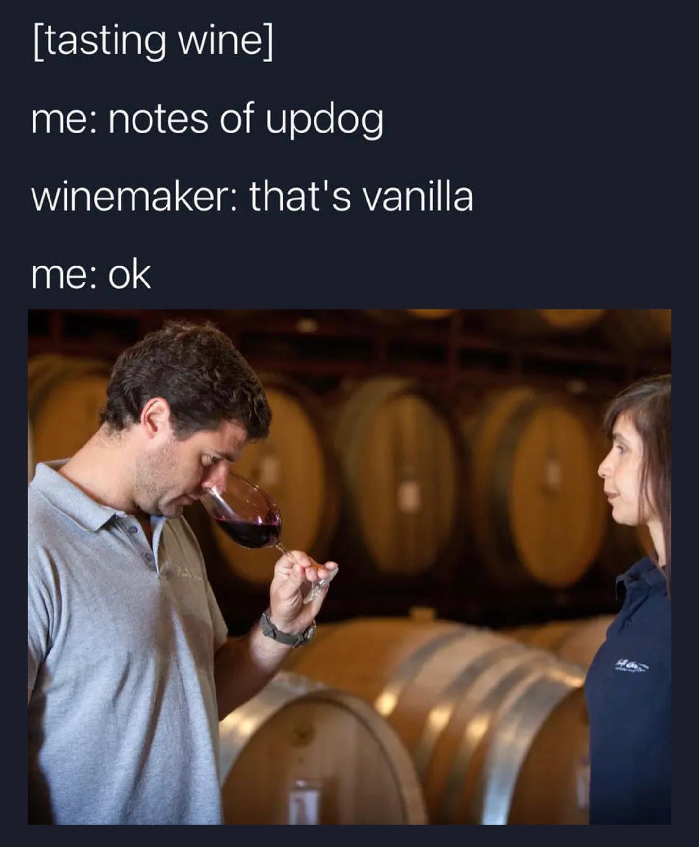 funny pics [tasting wine] me: notes of updog winemaker: that's vanilla me: ok