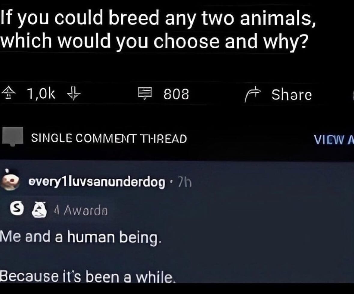 funny pics If you could breed any two animals, which would you choose and why? Me and a human being. Because it's been a while.